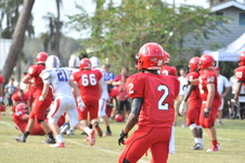 Enlarge photo 113