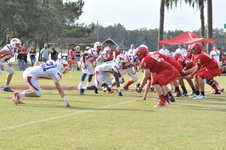 Enlarge photo 121
