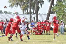 Enlarge photo 122