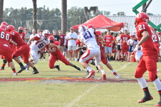 Enlarge photo 127