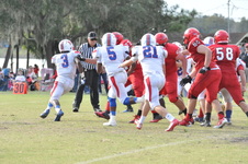 Enlarge photo 131