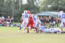Enlarge photo 134