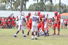Enlarge photo 142