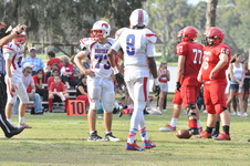 Enlarge photo 149