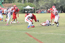 Enlarge photo 163