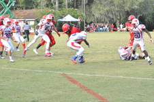 Enlarge photo 166