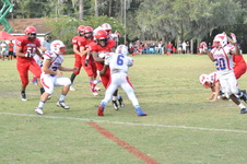 Enlarge photo 165