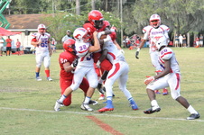 Enlarge photo 168