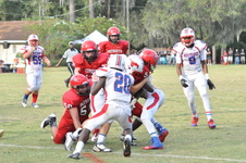 Enlarge photo 169