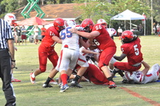 Enlarge photo 173