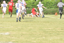 Enlarge photo 203