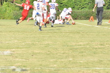 Enlarge photo 202
