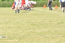 Enlarge photo 204