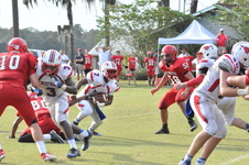 Enlarge photo 213