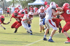 Enlarge photo 215