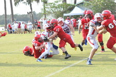 Enlarge photo 216