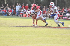 Enlarge photo 231