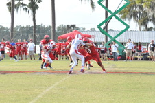 Enlarge photo 236