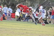 Enlarge photo 238