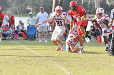 Enlarge photo 242