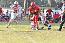 Enlarge photo 243
