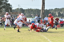 Enlarge photo 245
