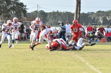 Enlarge photo 246