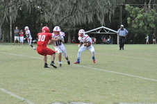 Enlarge photo 257