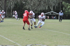 Enlarge photo 258