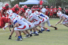 Enlarge photo 272