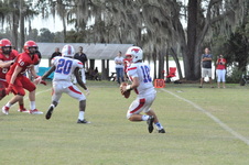 Enlarge photo 278