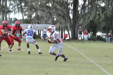 Enlarge photo 279