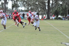 Enlarge photo 281