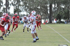 Enlarge photo 282