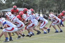Enlarge photo 294