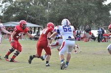 Enlarge photo 305