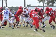 Enlarge photo 319