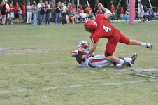 Enlarge photo 329
