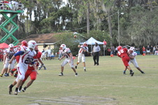 Enlarge photo 333