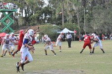 Enlarge photo 334