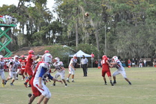 Enlarge photo 335