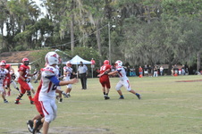 Enlarge photo 337