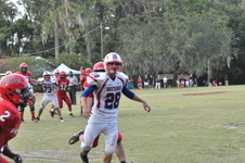 Enlarge photo 338