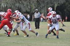 Enlarge photo 340