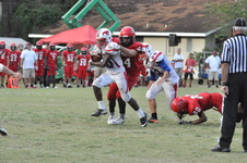 Enlarge photo 342