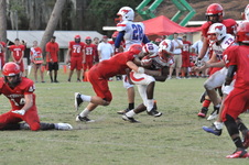 Enlarge photo 347