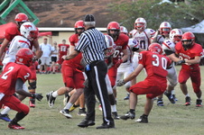 Enlarge photo 349