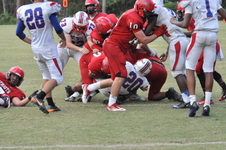 Enlarge photo 368