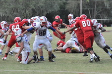 Enlarge photo 381