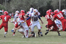 Enlarge photo 383